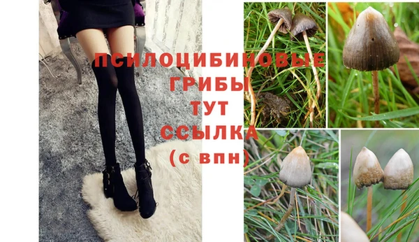 тгк Зеленодольск