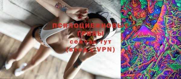 тгк Зеленодольск