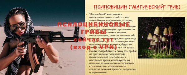 тгк Зеленодольск