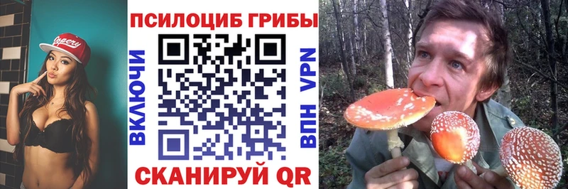 Псилоцибиновые грибы Cubensis  Купить где  Устюжна 